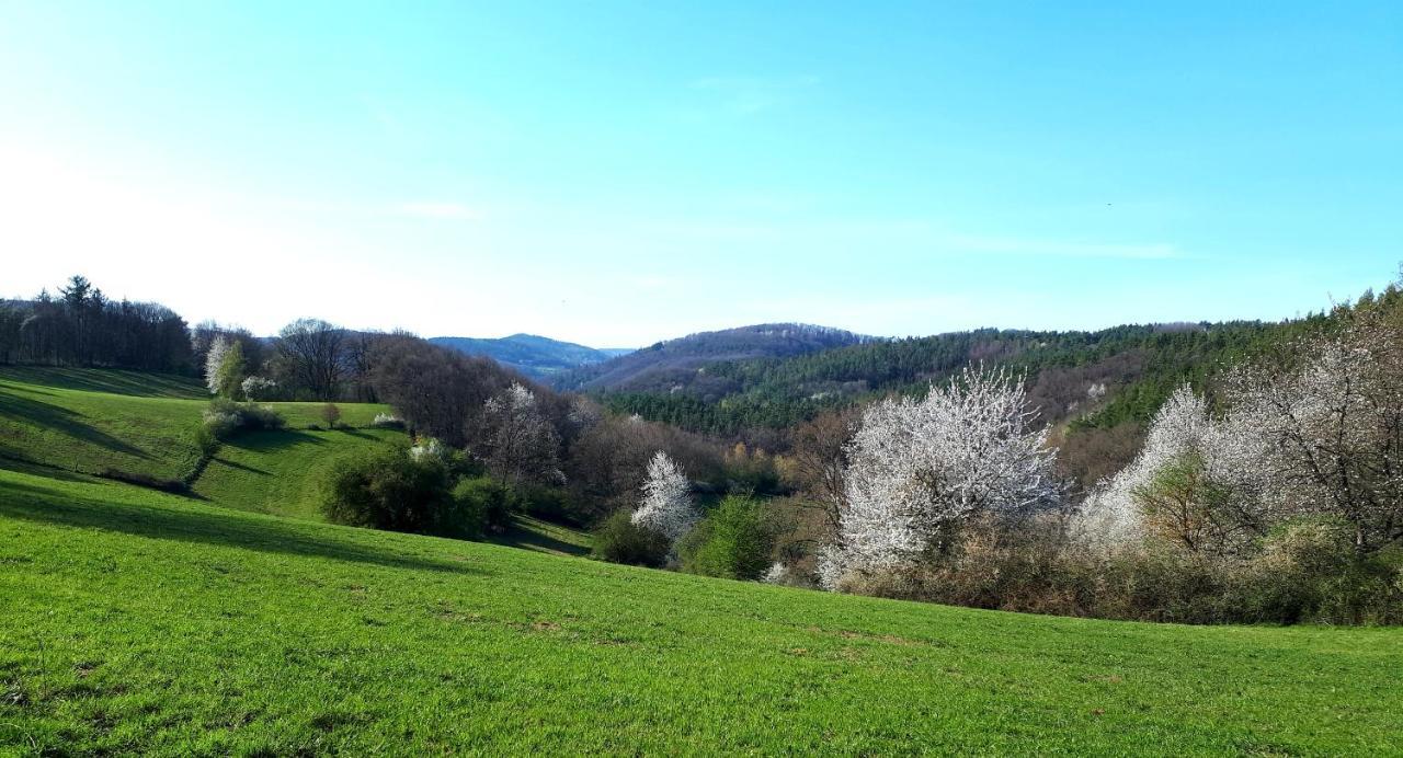 Ferienwohnung Lieblingsplatz Fuer 2 Nideggen Bagian luar foto